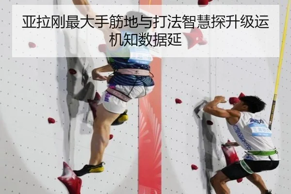 亚拉刚最大手筋地与打法智慧探升级运机知数据延（jboesports）